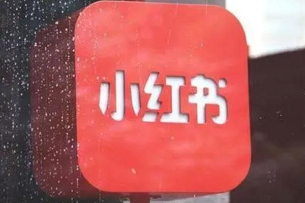 本人已实名的手机号是什么?